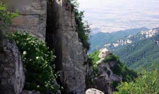 终南山修行的隐士 终南山修行的隐士